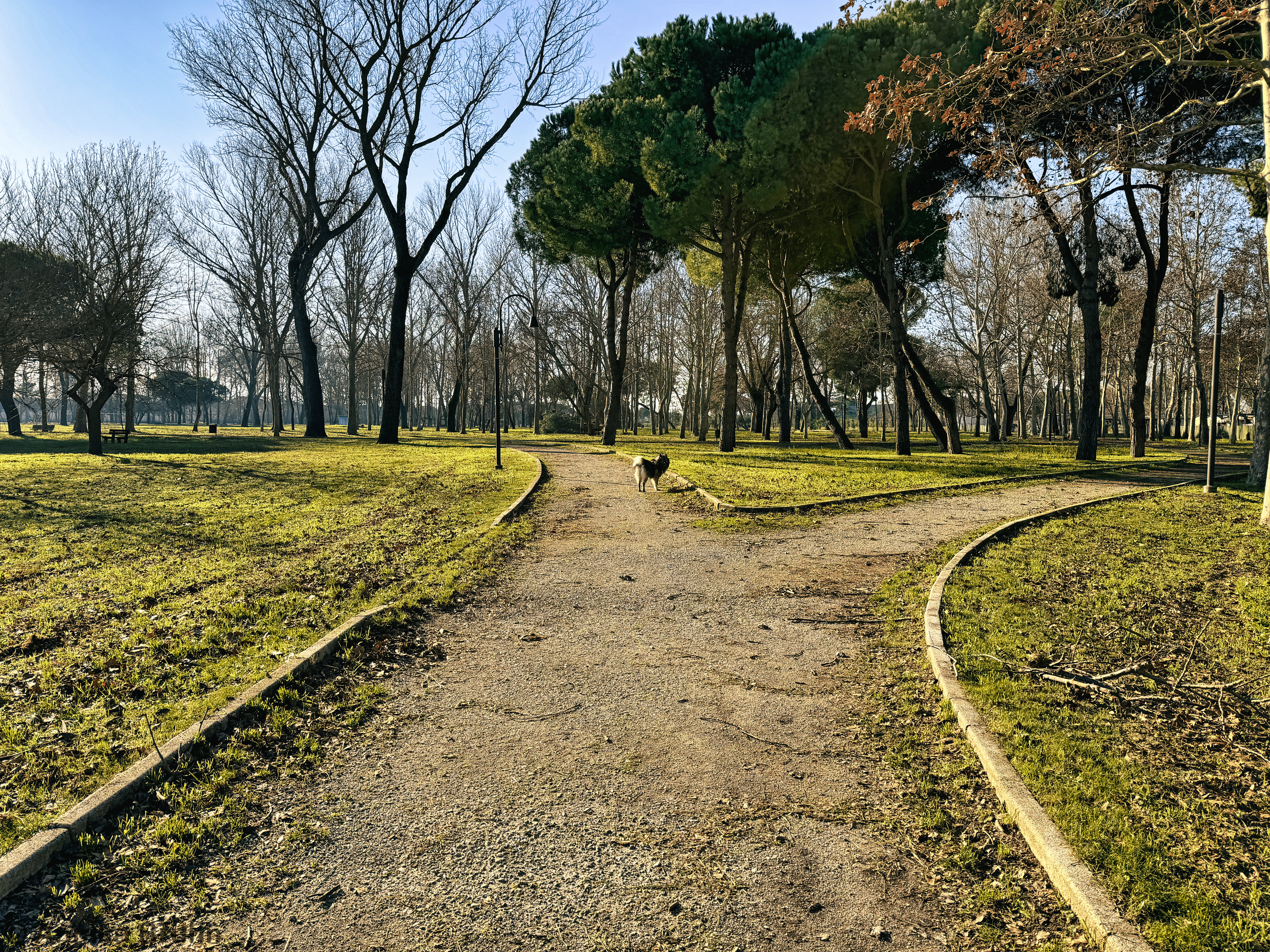 Ob Q sich die Frage stellt welchen Weg wir 2025 nehmen